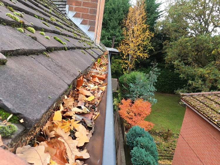 Gutter Cleaning